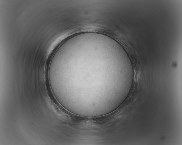 X0000116510244200912231239