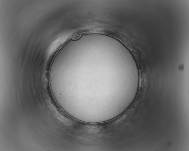 X0000116510245200912231239