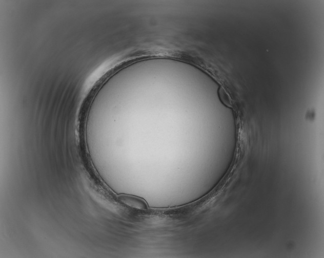 X0000116510246200912231239