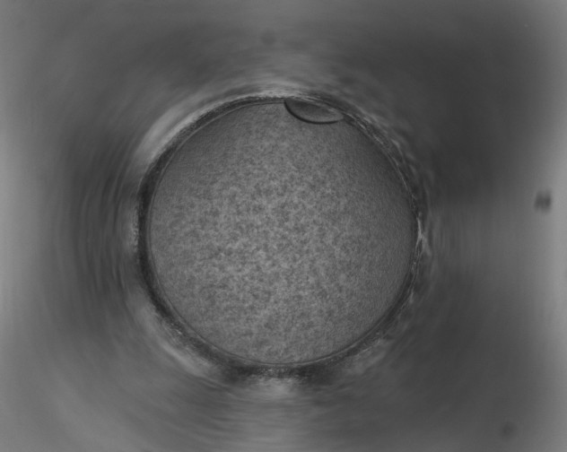 X0000116510247200912231239