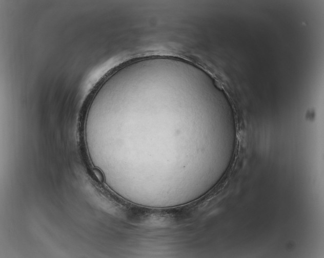 X0000116510248200912231239