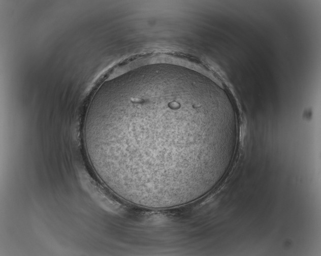 X0000116510249200912231239