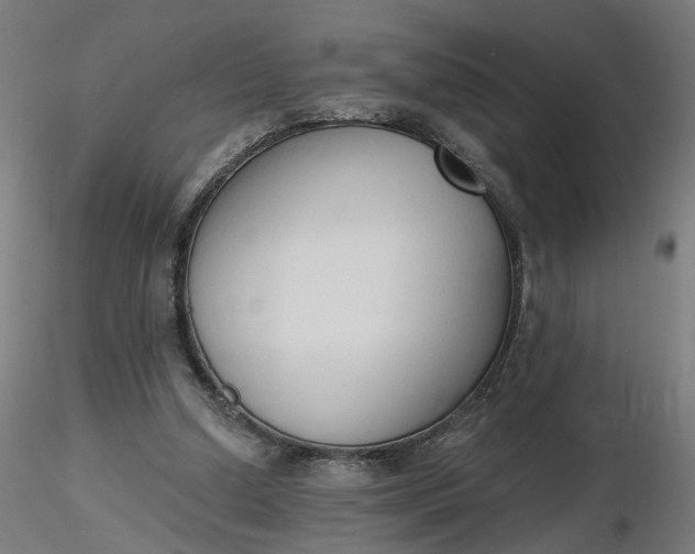 X0000116510250200912231239