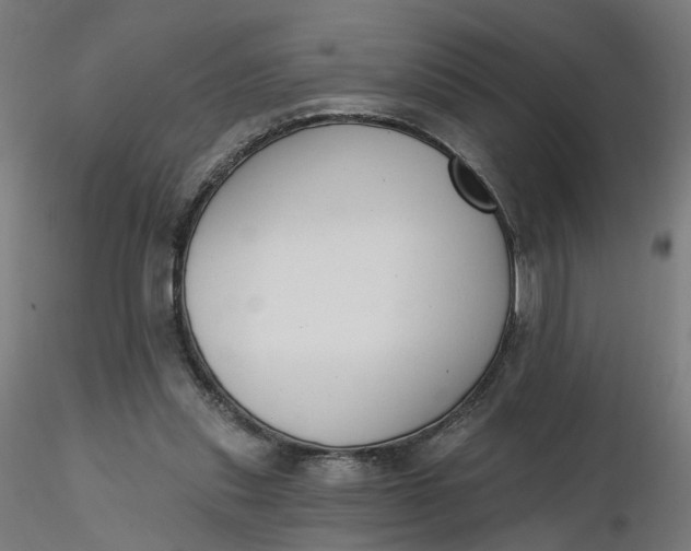 X0000116510253200912231239