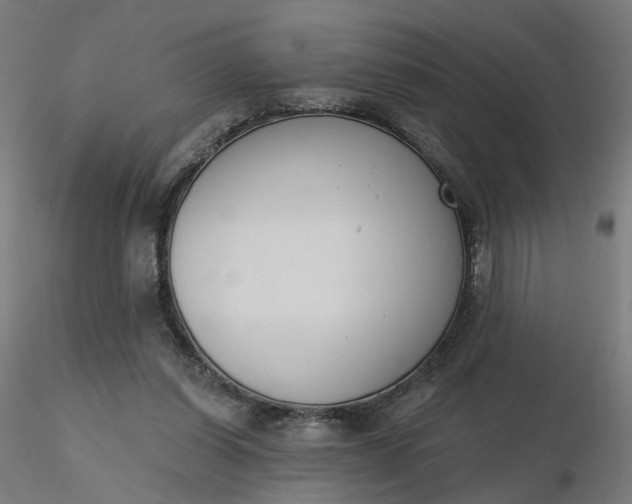 X0000116510254200912231239