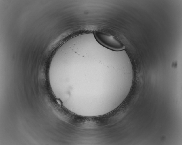 X0000116510256200912231239