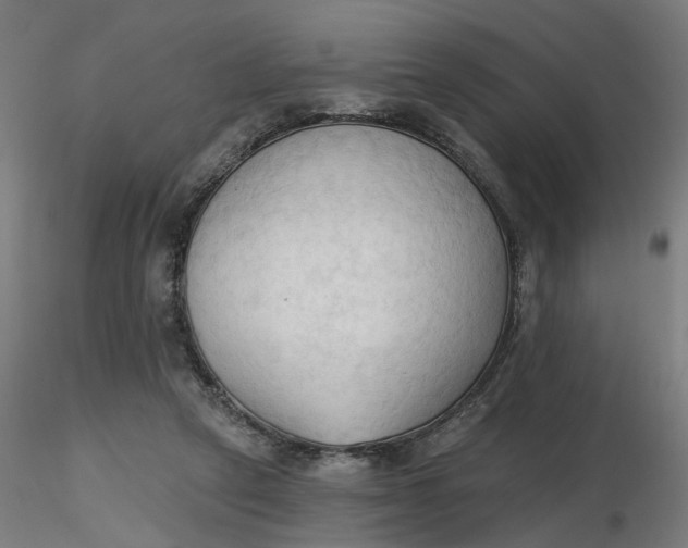 X0000116510257200912231239