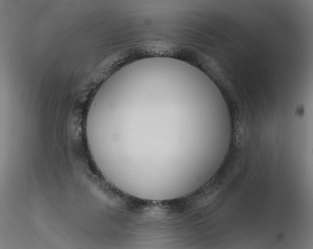 X0000116510259200912231239