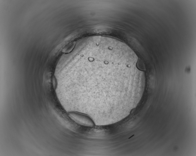 X0000116510260200912231239