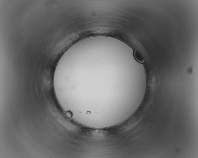 X0000116510261200912231239