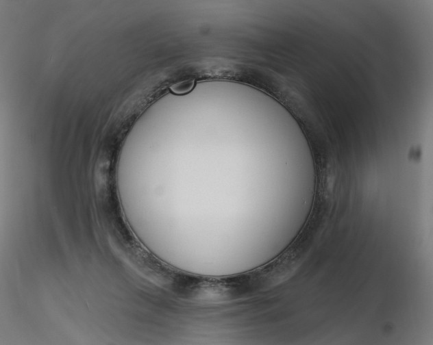 X0000116510263200912231239