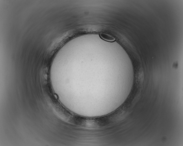 X0000116510264200912231239