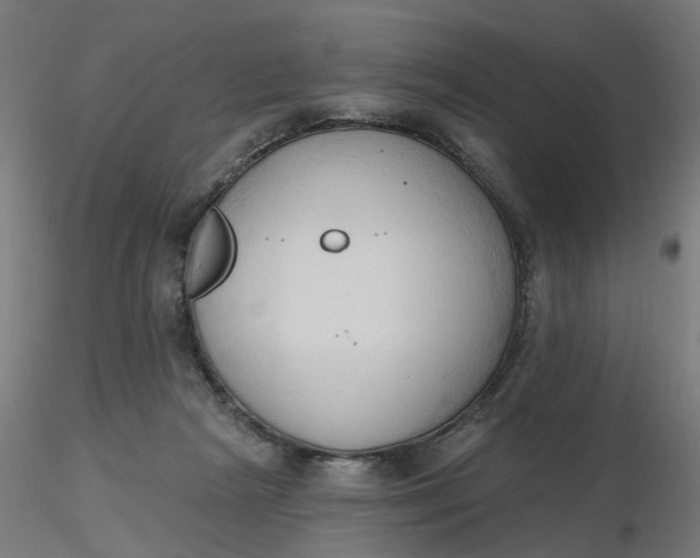 X0000116510265200912231239