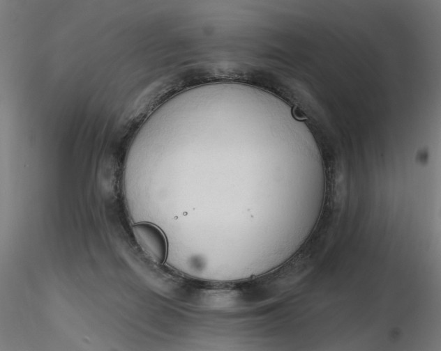 X0000116510266200912231239