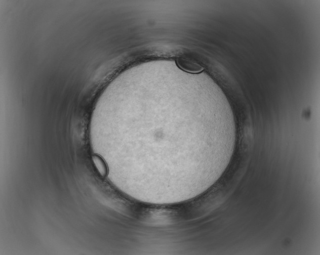 X0000116510268200912231239