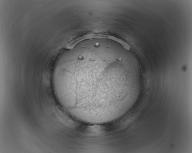 X0000116510269200912231239