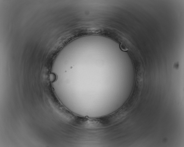 X0000116510270200912231239