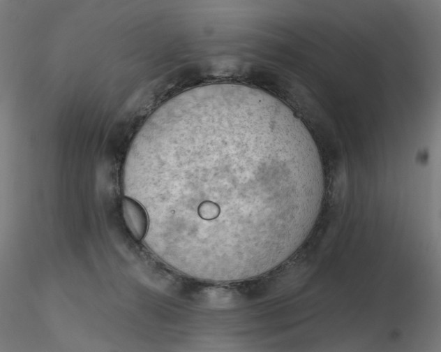 X0000116510272200912231239