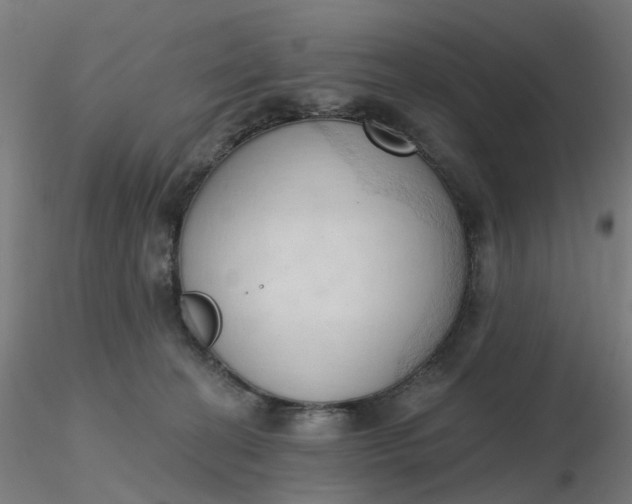 X0000116510274200912231240