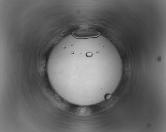 X0000116510275200912231240