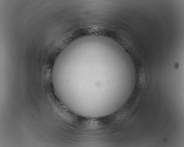 X0000116510276200912231240