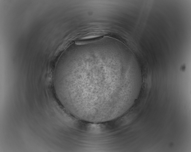 X0000116510277200912231240