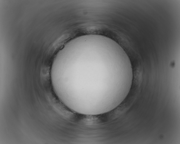 X0000116510278200912231240