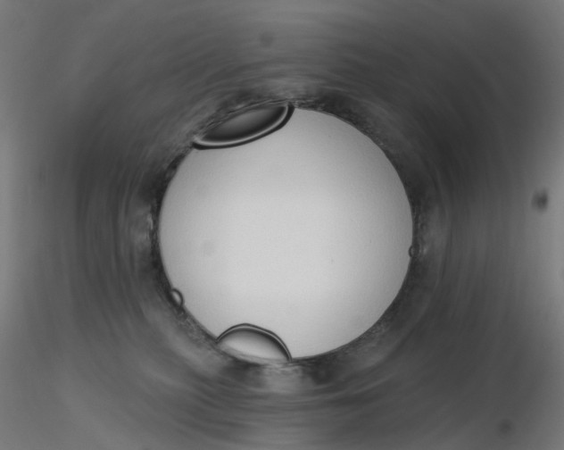 X0000116510279200912231240