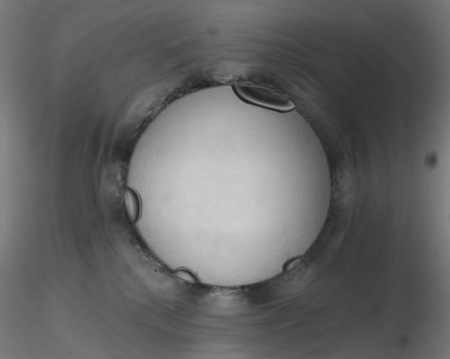 X0000116510280200912231240