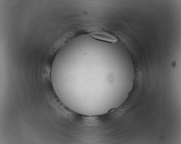 X0000116510281200912231240