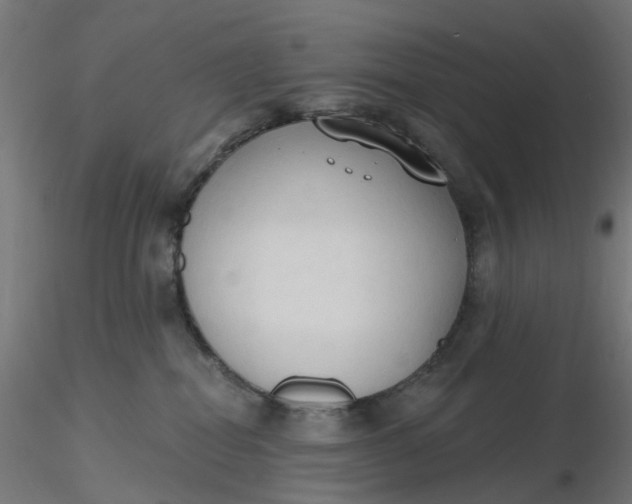 X0000116510282200912231240