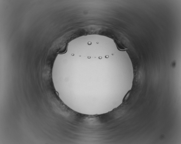 X0000116510283200912231240