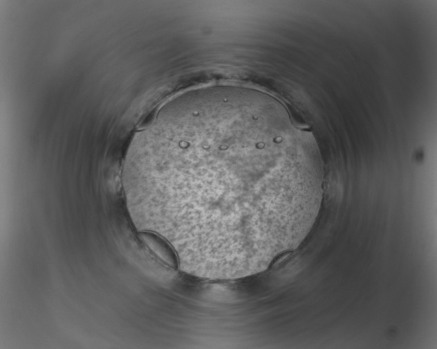 X0000116510285200912231240