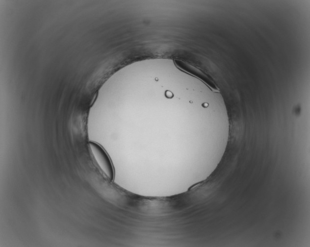 X0000116510286200912231240