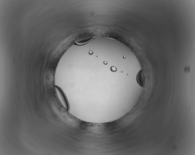 X0000116510288200912231240