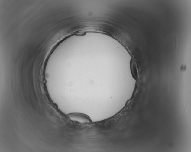 X0000116510289200912231239