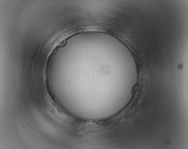 X0000116510290200912231239