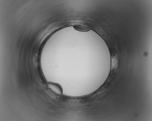 X0000116510291200912231239