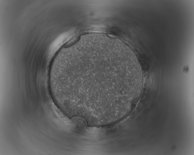 X0000116510293200912231239