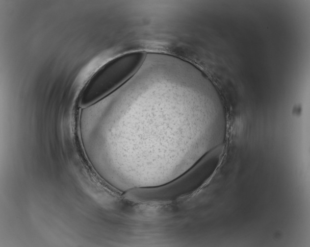 X0000116510294200912231239