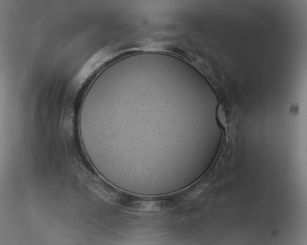 X0000116510295200912231239