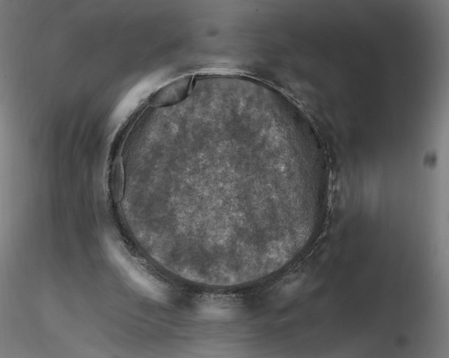 X0000116510296200912231239