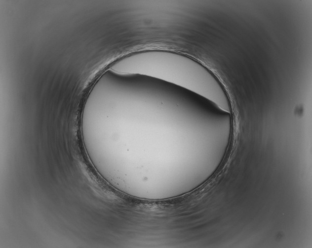 X0000116510297200912231239