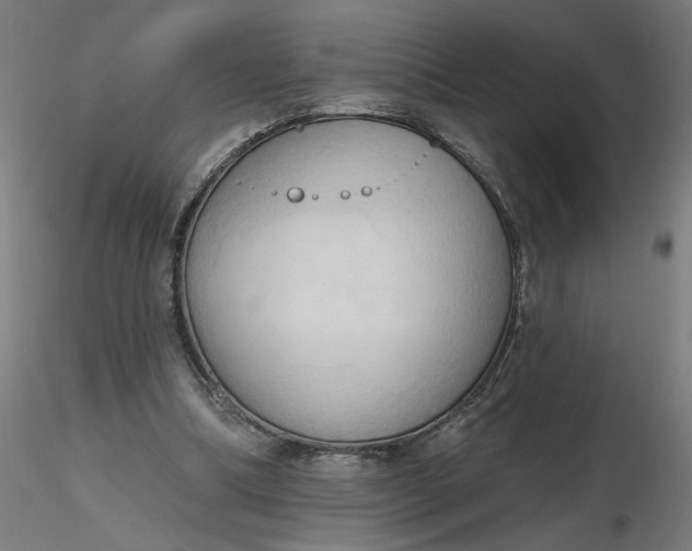 X0000116510298200912231239