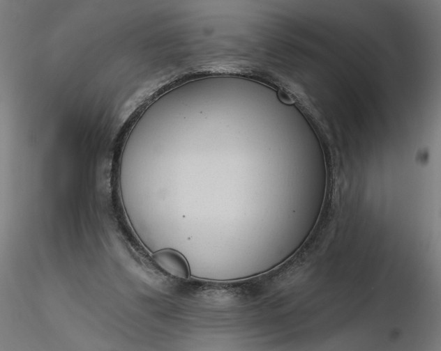 X0000116510299200912231239