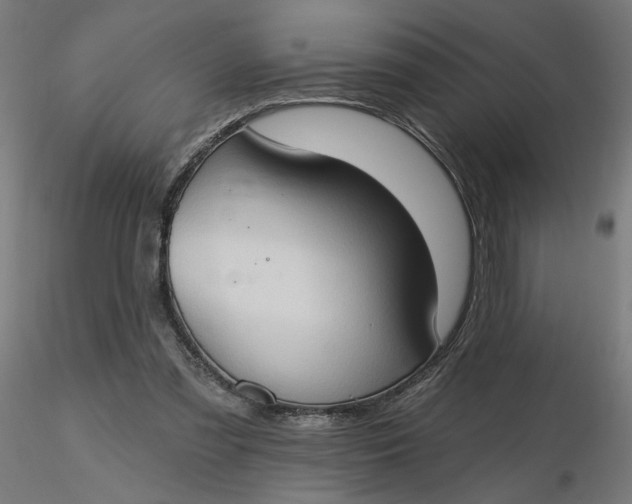 X0000116510301200912231239