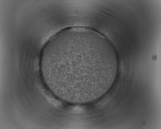 X0000116510303200912231239