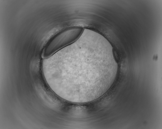 X0000116510304200912231239