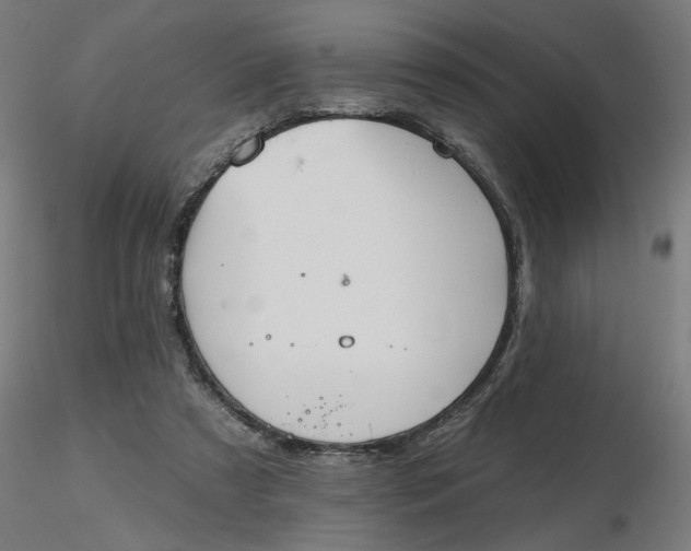 X0000116510305200912231239