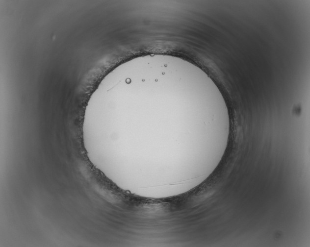 X0000116510307200912231239